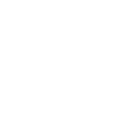 Mental Clarity & Focus